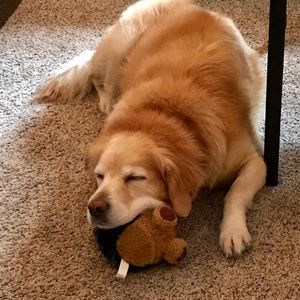 Meet your Posher, Annette